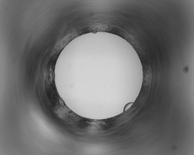 X0000115480334200912040958