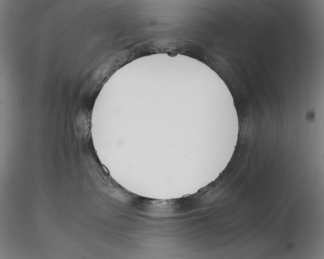 X0000115480335200912040958