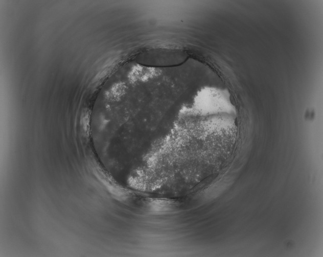 X0000115480336200912040958