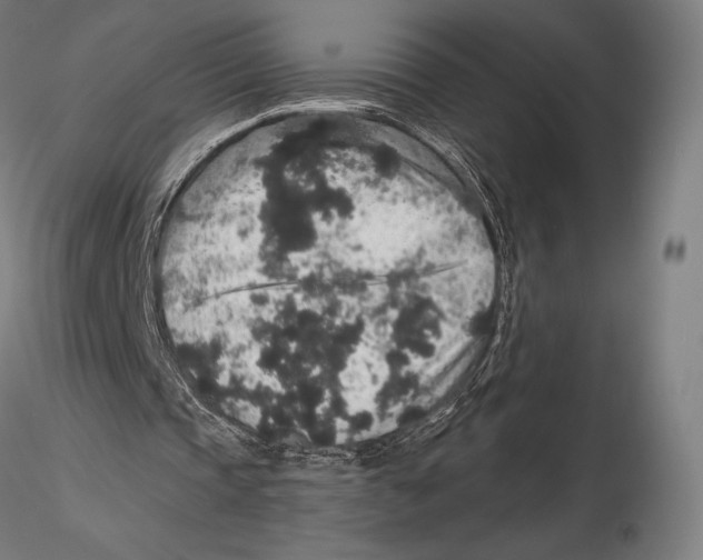 X0000115480337200912040958