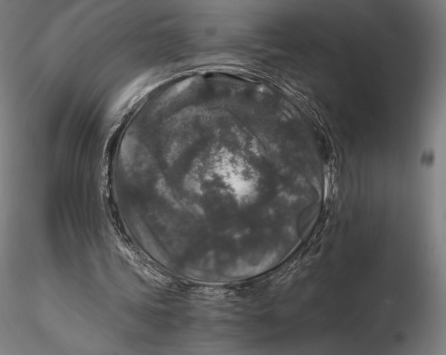 X0000115480339200912040958