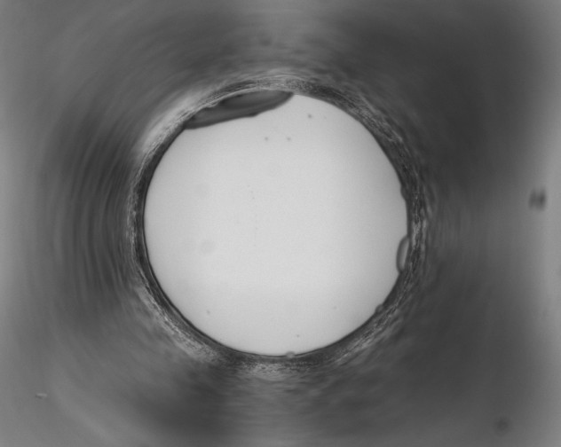 X0000115480341200912040958