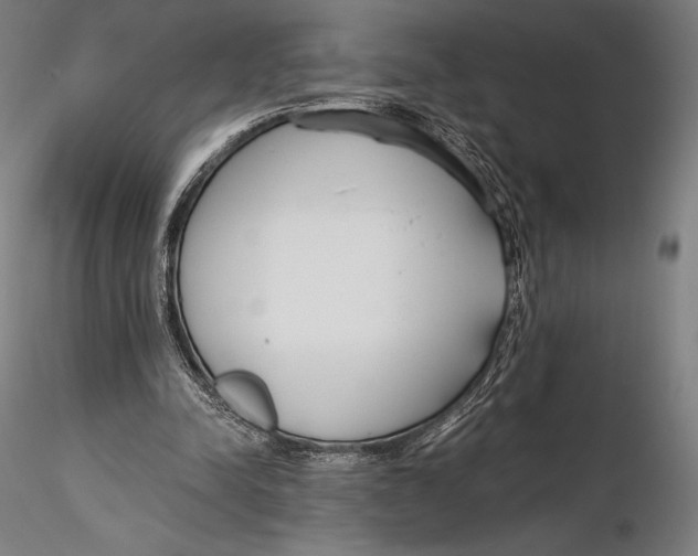 X0000115480342200912040958