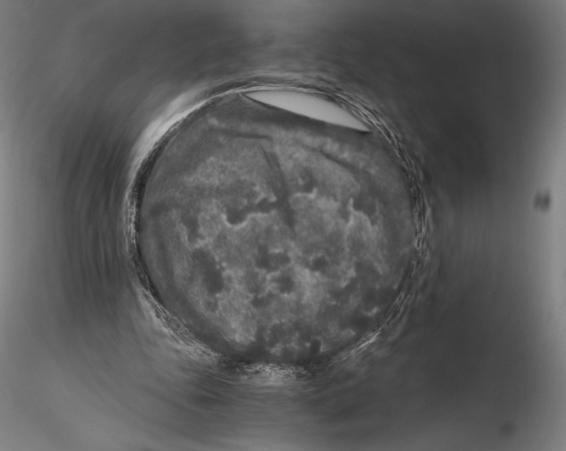 X0000115480343200912040958
