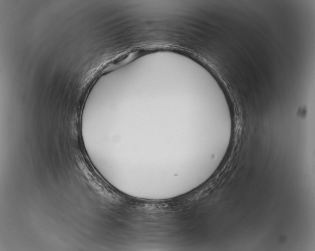 X0000115480345200912040958