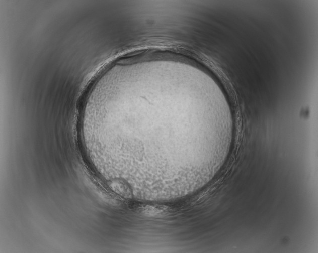 X0000115480346200912040958