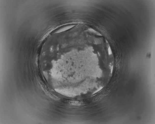 X0000115480347200912040958