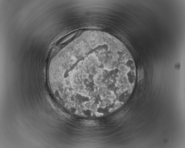X0000115480349200912040958