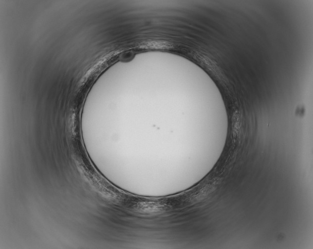 X0000115480351200912040958