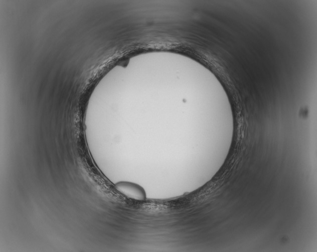 X0000115480354200912040958