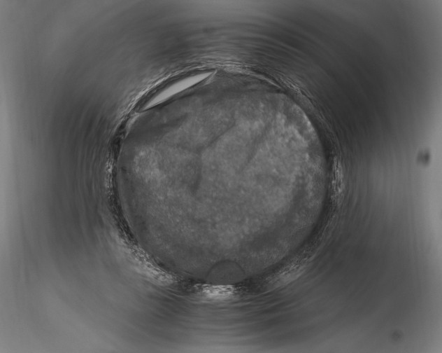 X0000115480355200912040958