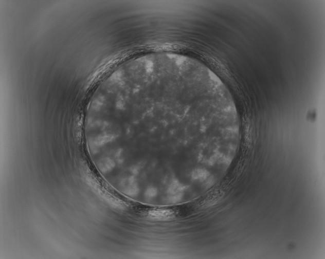 X0000115480357200912040958