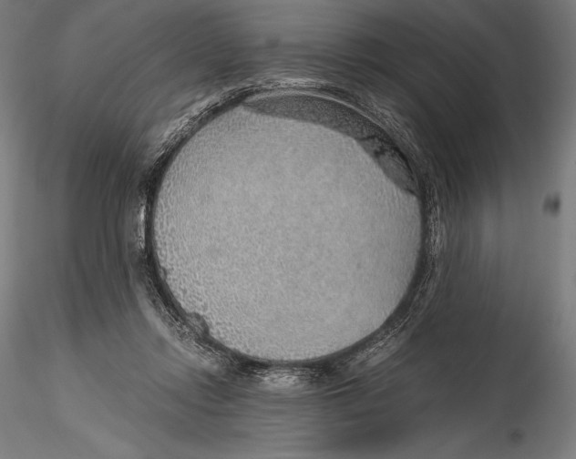 X0000115480358200912040958