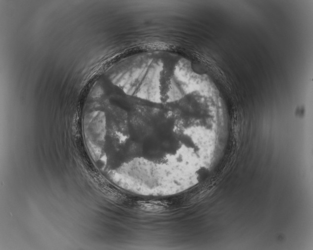 X0000115480359200912040958
