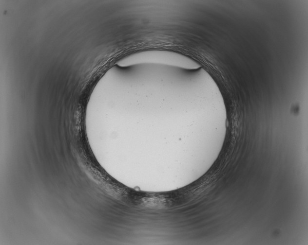 X0000115480362200912040958