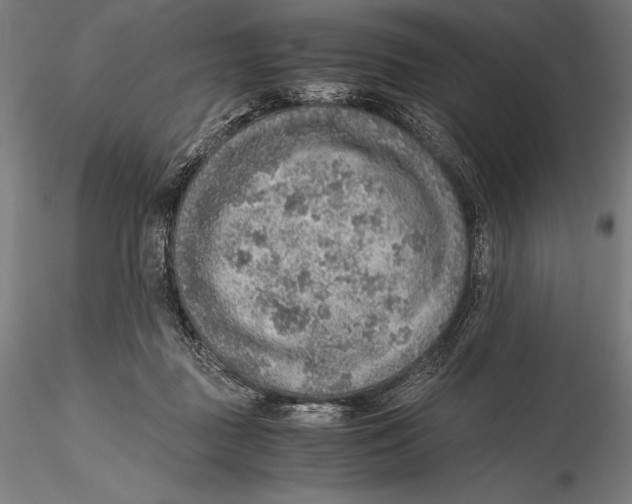 X0000115480363200912040958