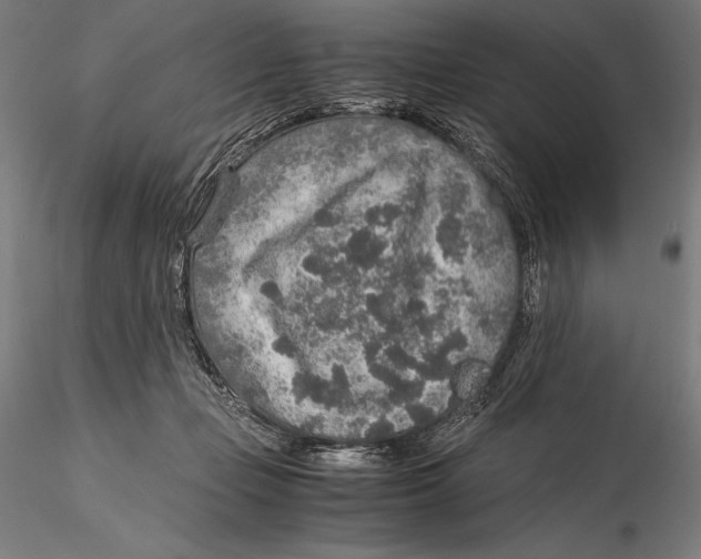 X0000115480365200912040958