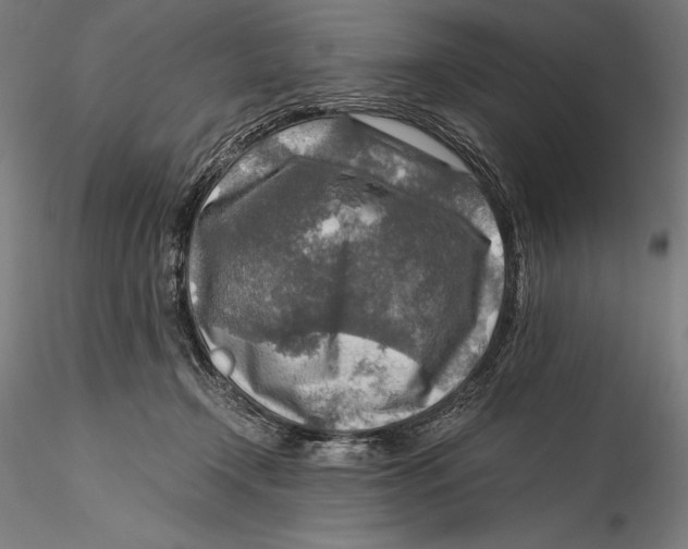 X0000115480366200912040958
