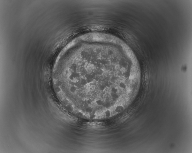 X0000115480367200912040958