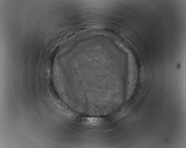 X0000115480371200912040958