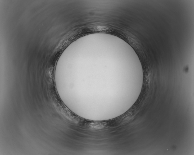 X0000115480373200912040958