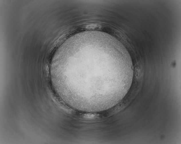 X0000115480375200912040958