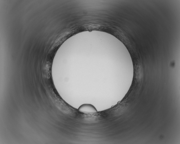 X0000115480378200912040958