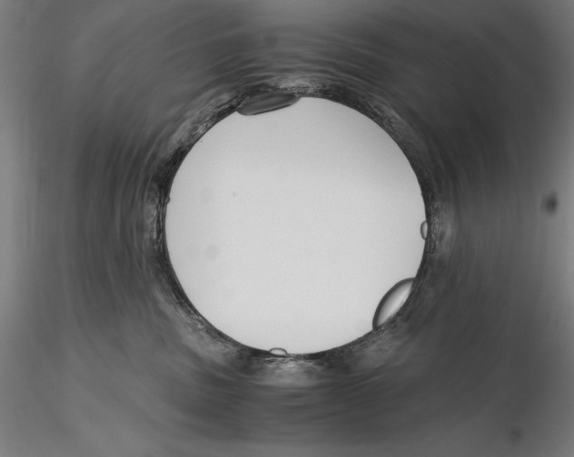X0000115480379200912040958