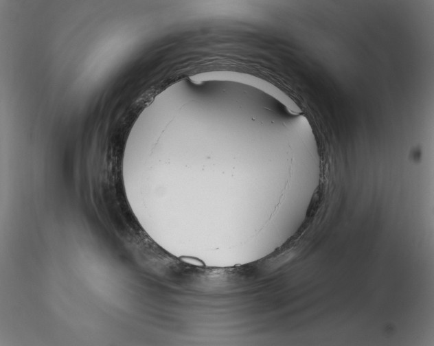 X0000115480382200912040958