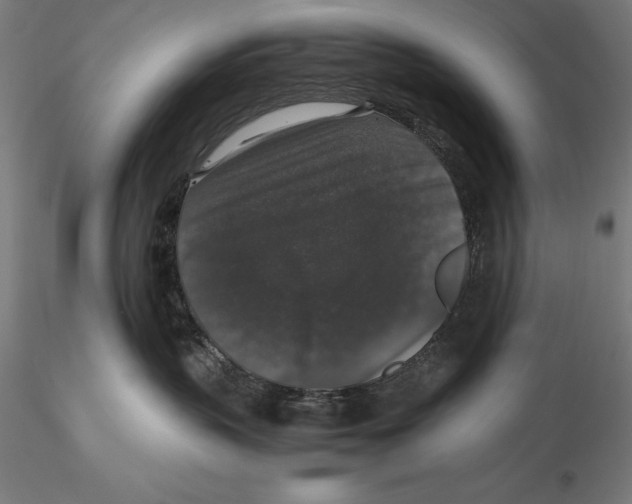X0000115480383200912040958