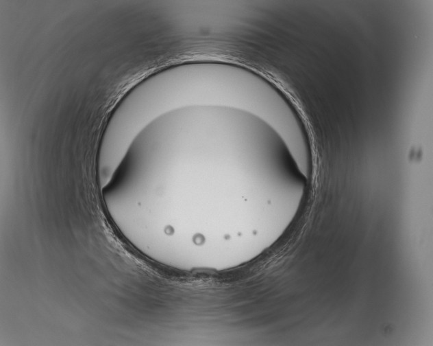 X0000115480385200912040958