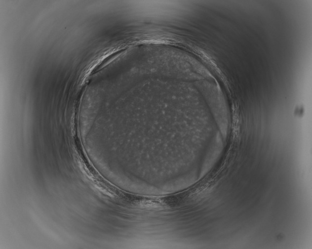 X0000115480386200912040958