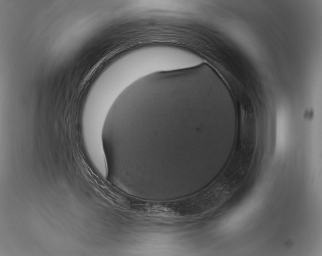 X0000115480387200912040958