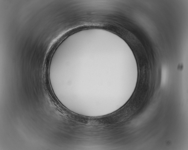 X0000115480388200912040958