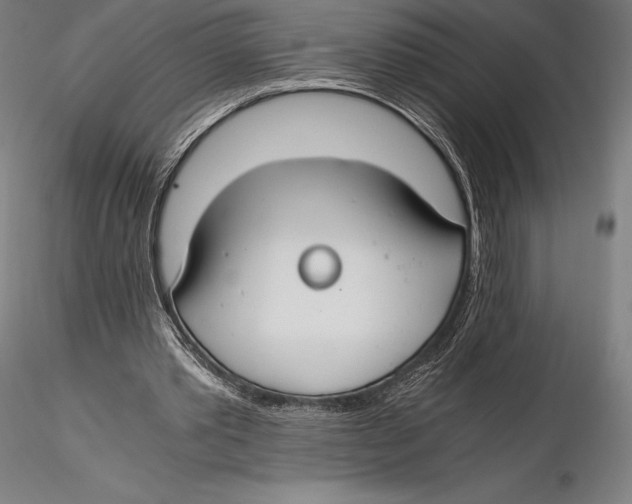 X0000115480389200912040958
