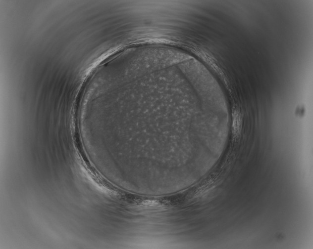 X0000115480390200912040958