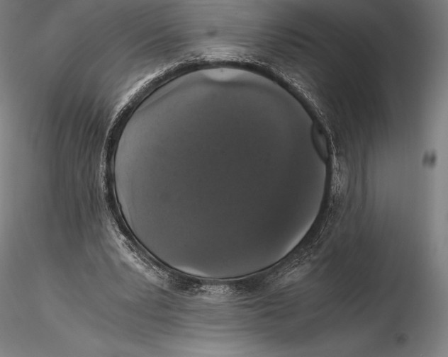 X0000115480391200912040958