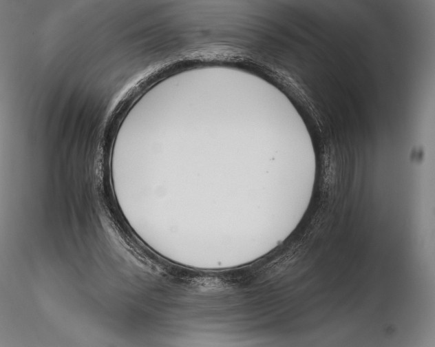 X0000115480392200912040958