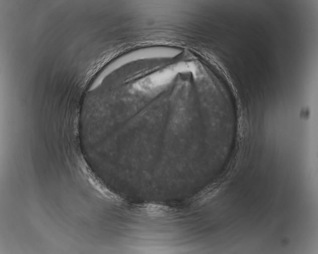 X0000115480393200912040958