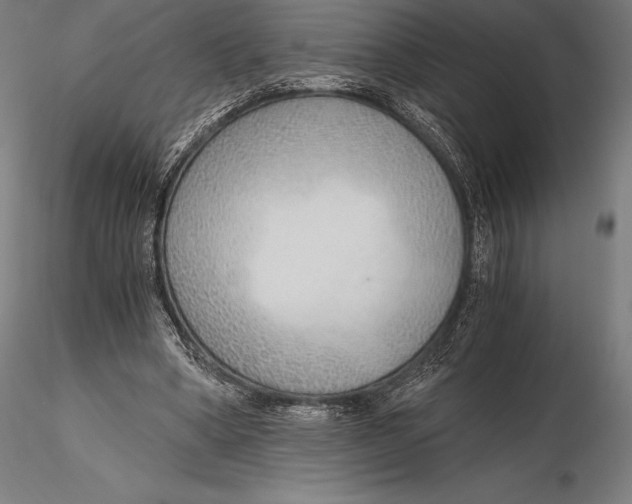 X0000115480394200912040958