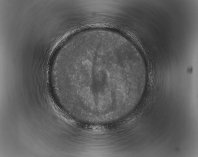 X0000115480395200912040958