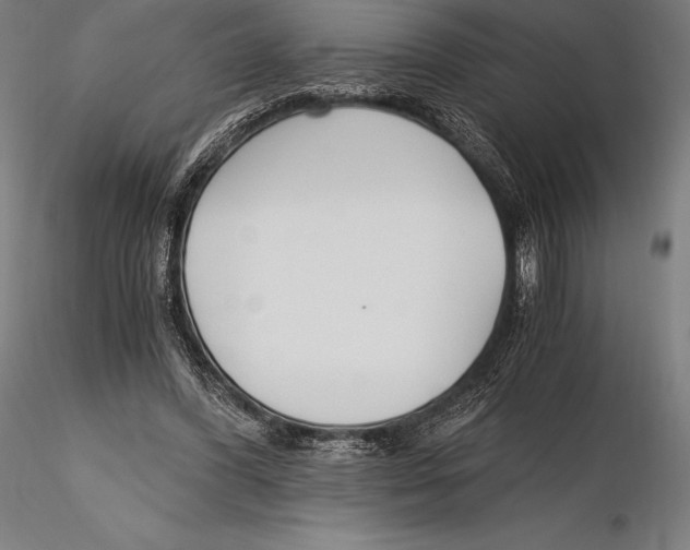 X0000115480396200912040958