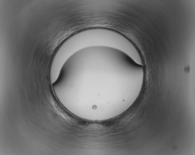 X0000115480397200912040957