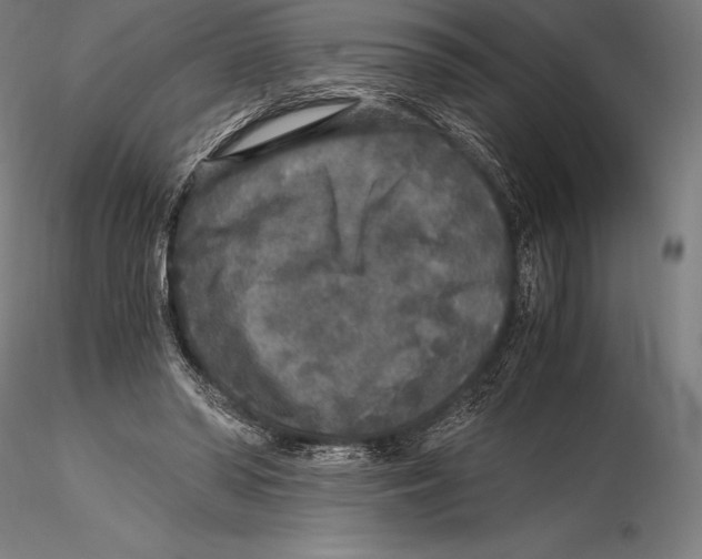 X0000115480398200912040957