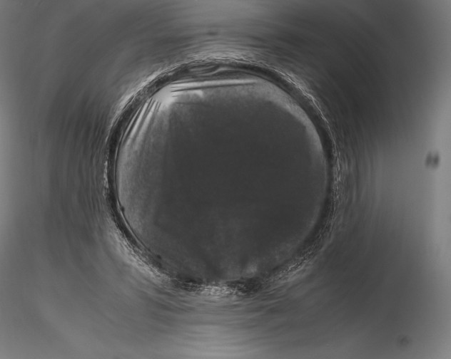 X0000115480399200912040957
