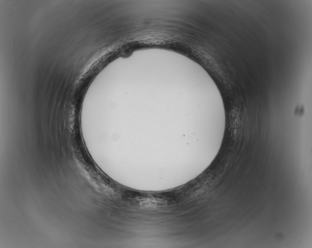 X0000115480400200912040957