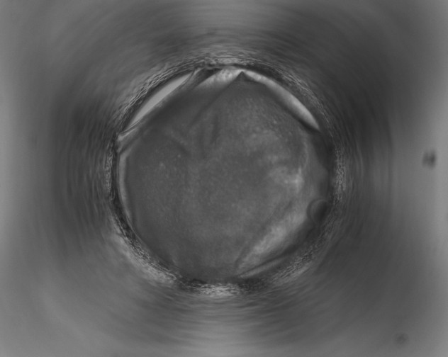 X0000115480402200912040957