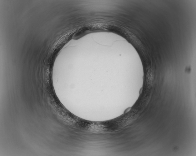 X0000115480403200912040957