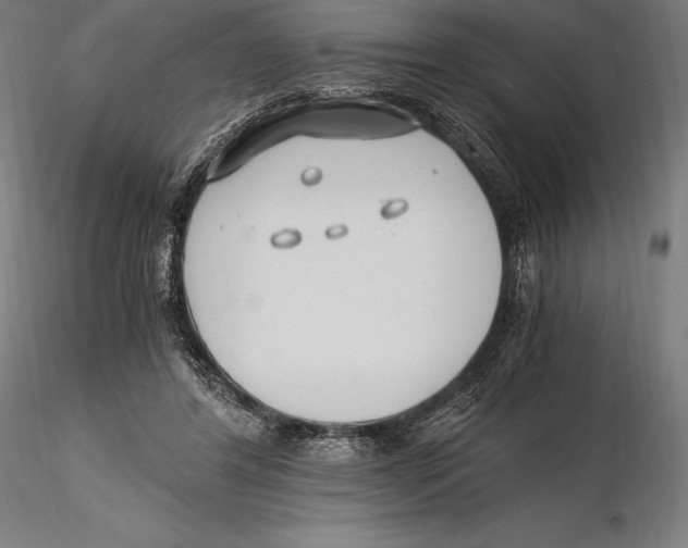 X0000115480404200912040957