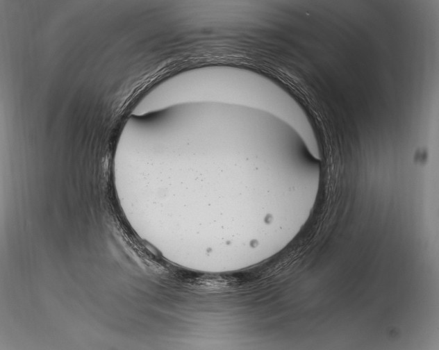 X0000115480405200912040957